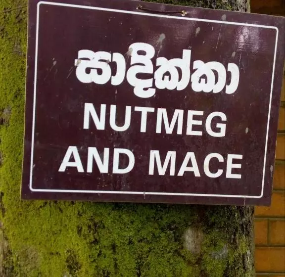 ベッドアンドブレックファースト River Edge Bungalow