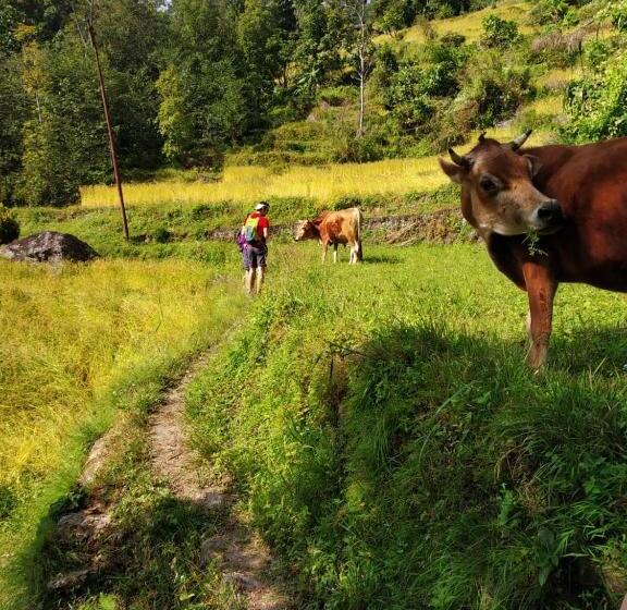 هتل Palighar Farmstay