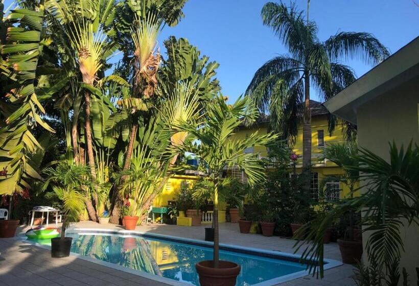 پانسیون Orchid Cottage