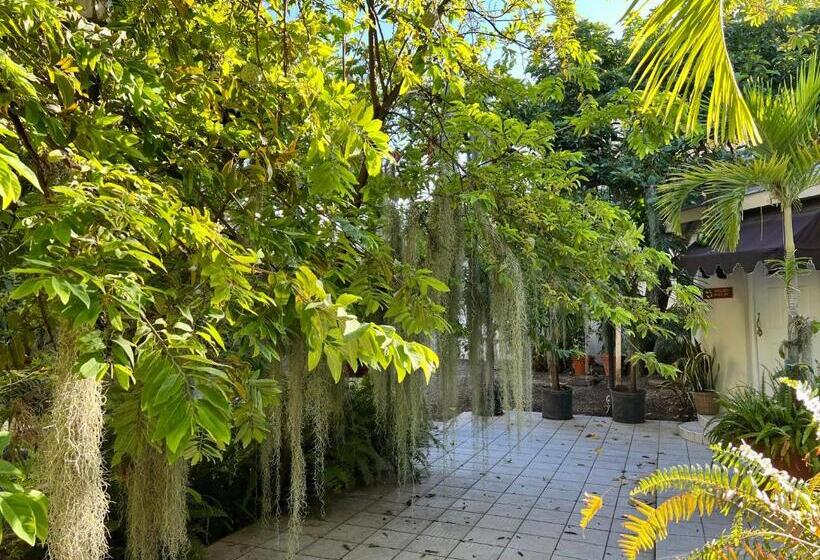 پانسیون Orchid Cottage