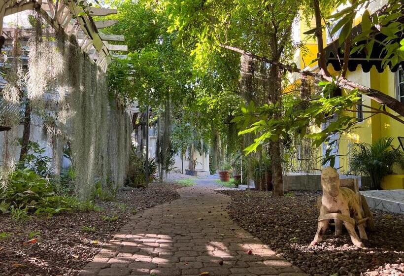 پانسیون Orchid Cottage