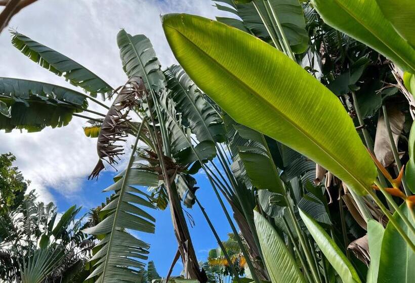 پانسیون Orchid Cottage