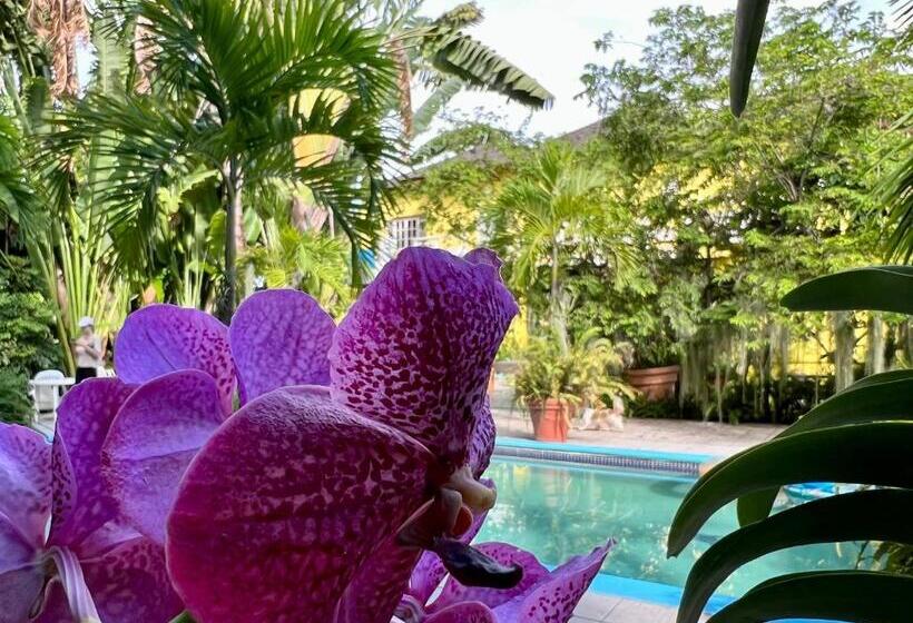 پانسیون Orchid Cottage