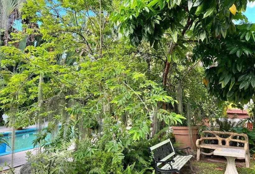 پانسیون Orchid Cottage