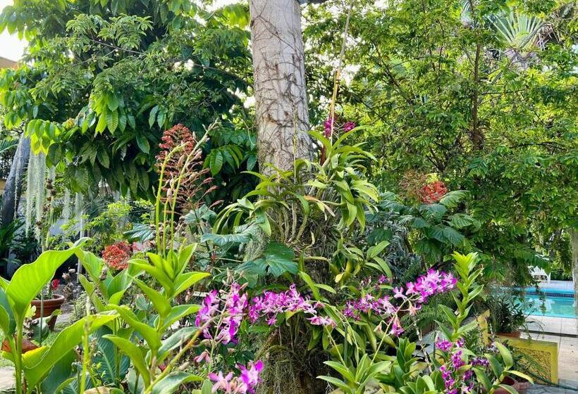 پانسیون Orchid Cottage