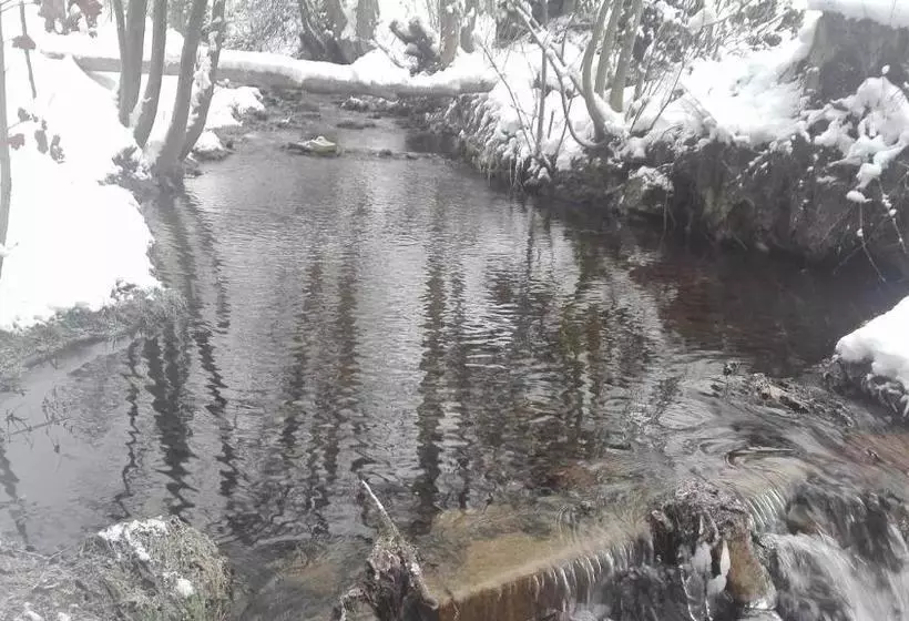 Majatalo Penzion V Zelený