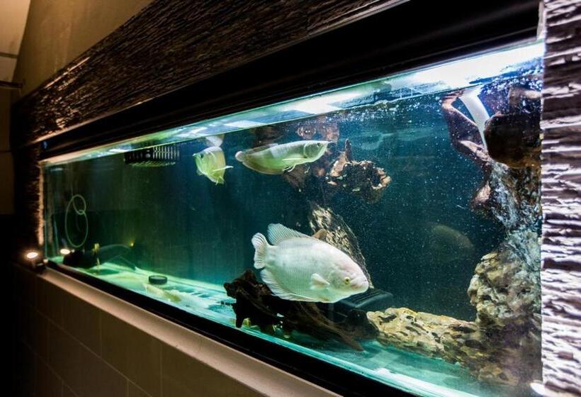 פנסיון Hermanus Manor