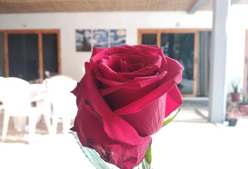 پانسیون Crystal Dhiffushi