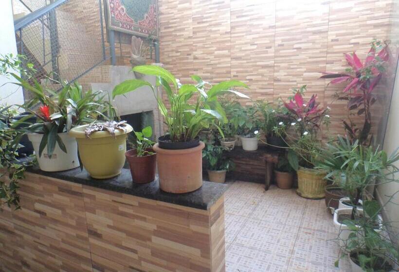 بنسيون Pousada Casa Verde