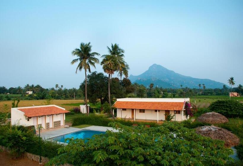 Pensionat The Mountain Retreat