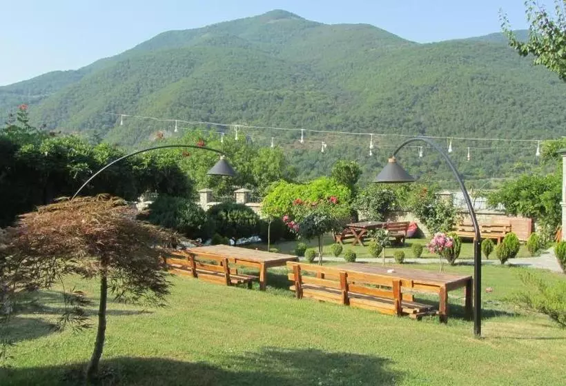 پانسیون Villa Ananuri
