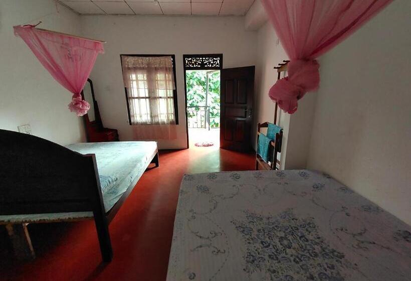 Pansiyon Ancient Tree