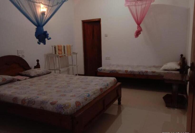 Pansiyon Ancient Tree