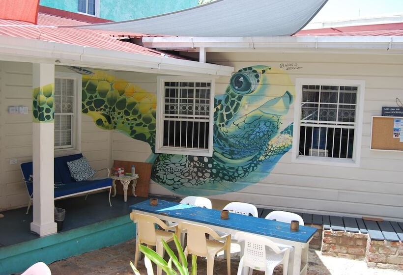 پانسیون Mobay Kotch Hostel