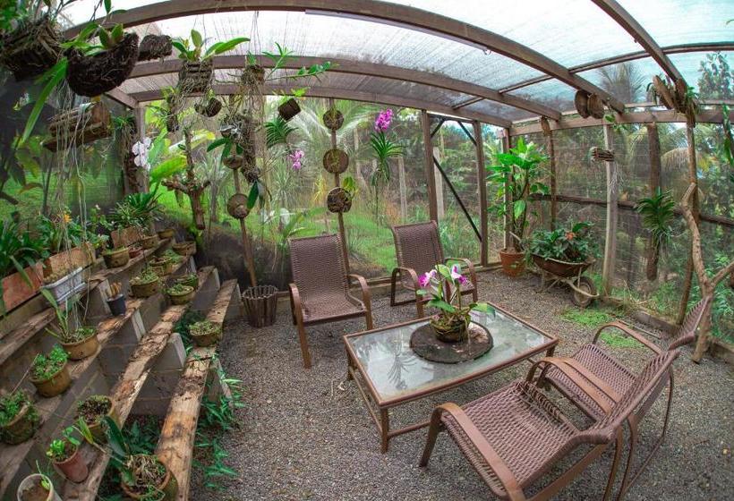 پانسیون Orquídea Café