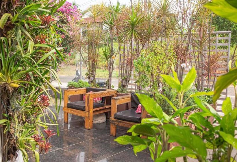 پانسیون Orquídea Café