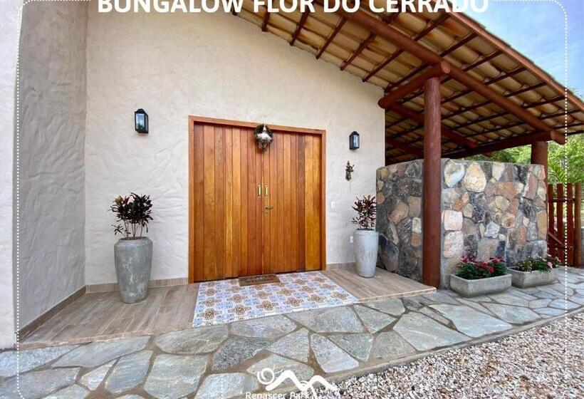 Pension Pousada Renascer Park