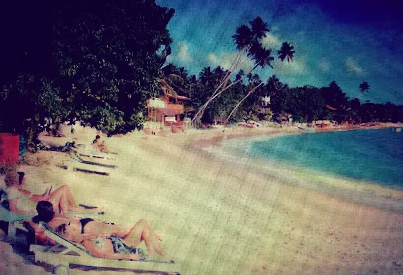 ペンション White House