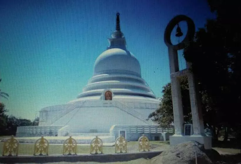 ペンション White House