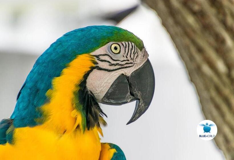 پانسیون Blue World Dharavandhoo