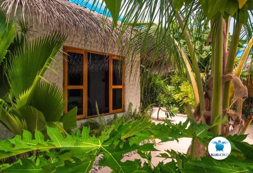 پانسیون Blue World Dharavandhoo