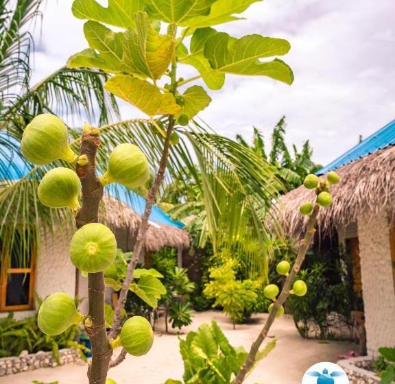 پانسیون Blue World Dharavandhoo