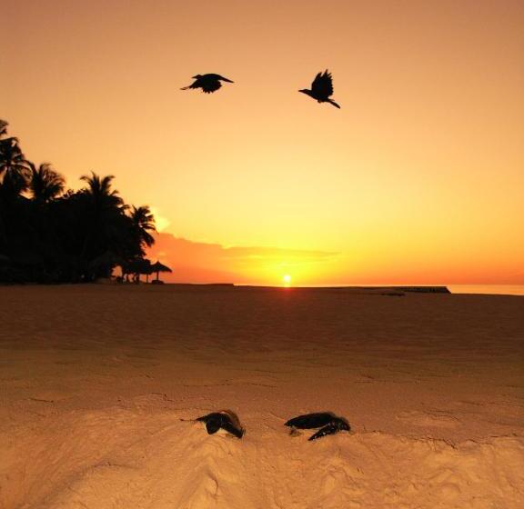 پانسیون Blue World Dharavandhoo