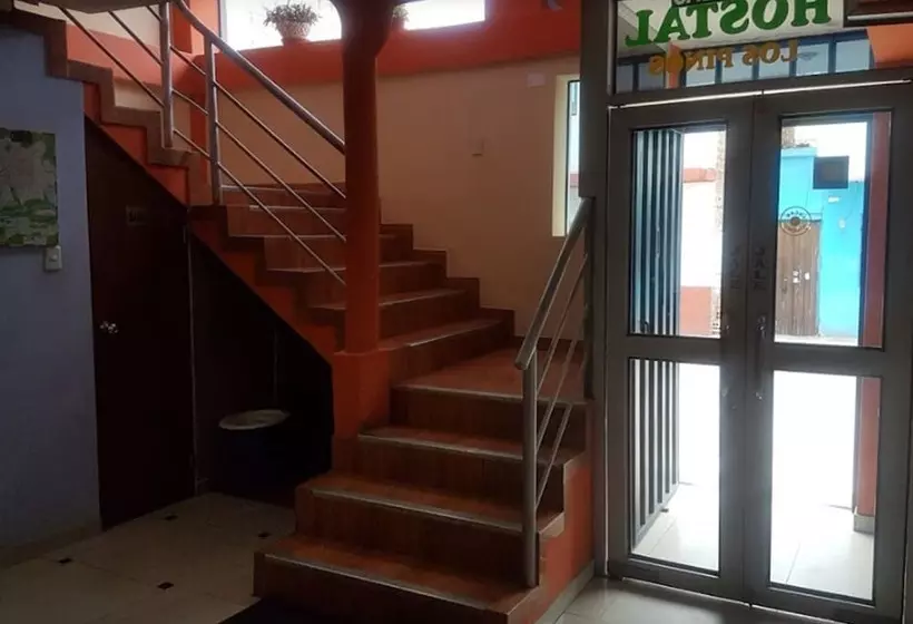 هاستل Hostal Los Pinos