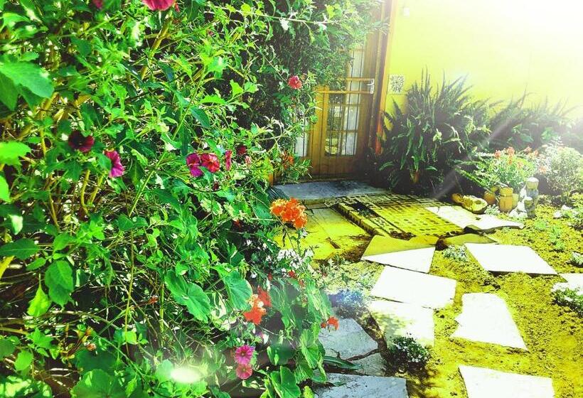 פנסיון Cathy's Guest House