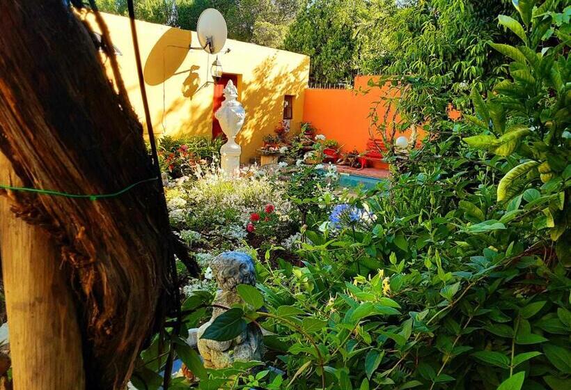 פנסיון Cathy's Guest House