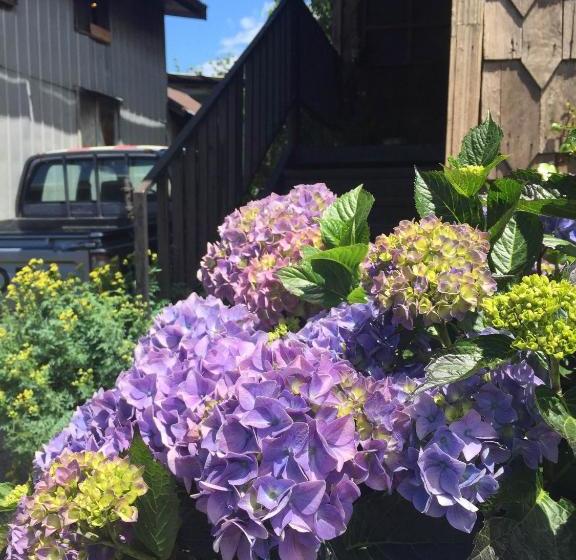 پانسیون Hostal Y Cabañas Mirando Al Mar