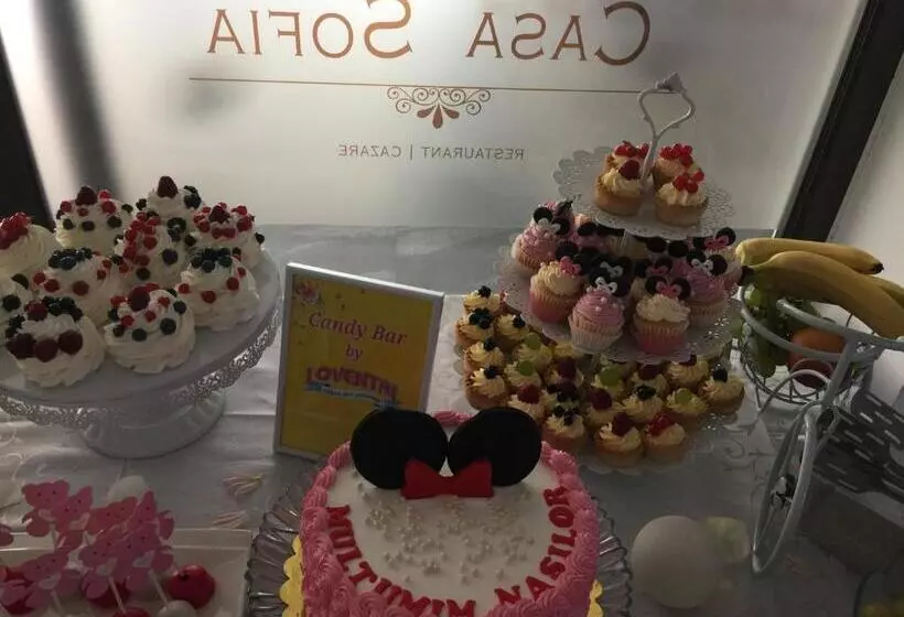 Pensiune Restaurant Casa Sofia