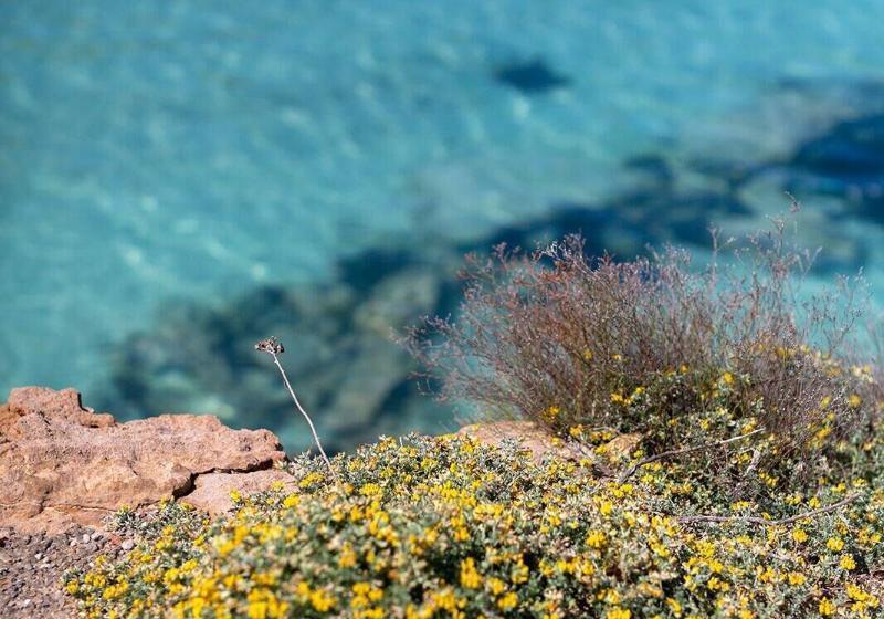 هتل Hostal La Cigüeña