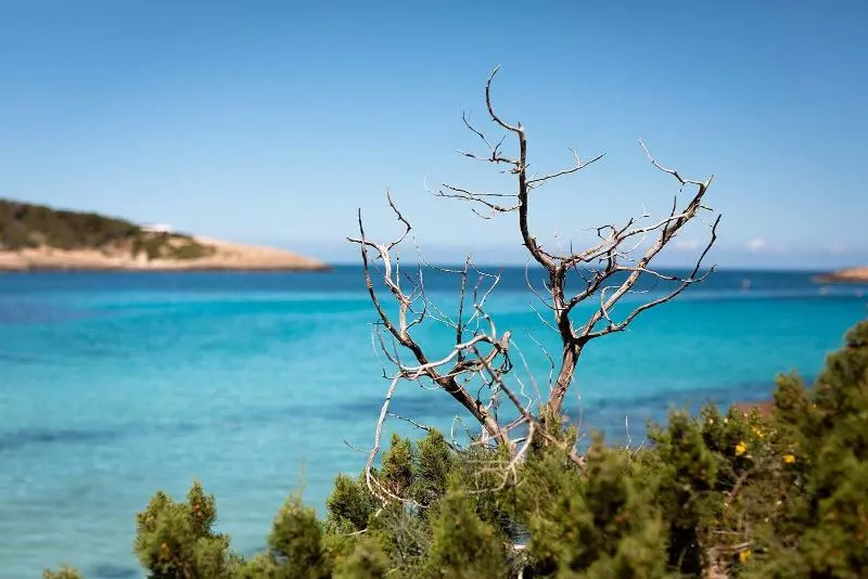 Hotelli Hostal La Cigüeña