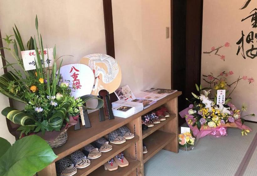 بنسيون Kyoyado Yaezakura