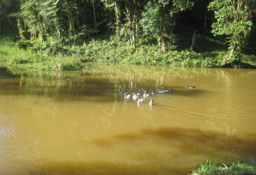 Pension (Hôtel basse catégorie) Pousada Recanto Dos Pinheiros