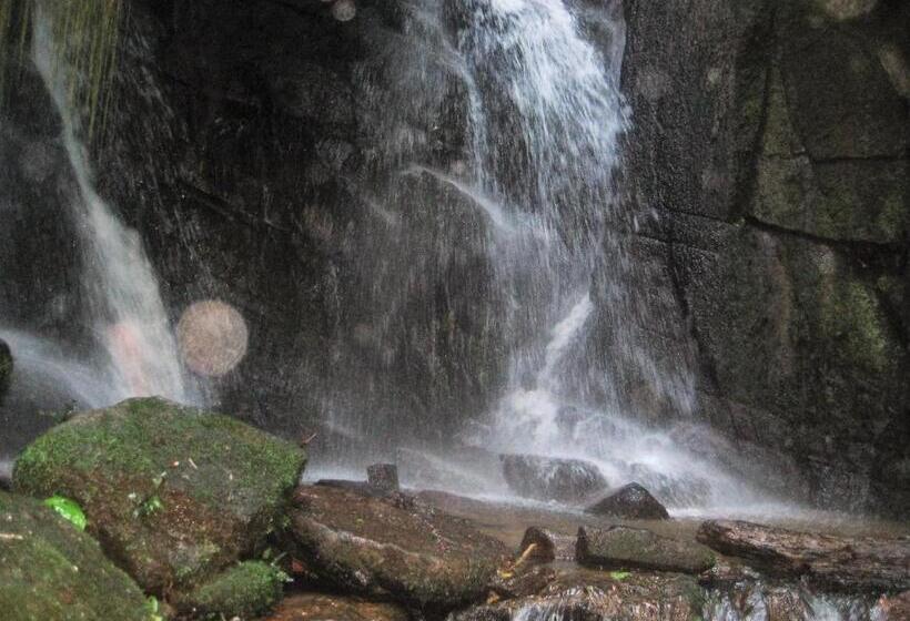 Pension (Hôtel basse catégorie) Pousada Recanto Dos Pinheiros