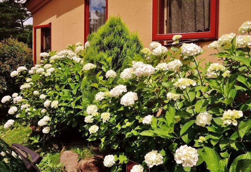 ペンション Aromatic Garden Villa La Poltrona Nasu