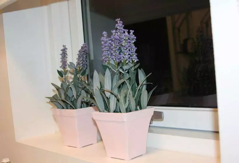 پانسیون Country Dream   Langholt 2