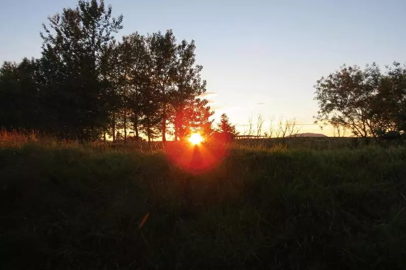 پانسیون Country Dream   Langholt 2