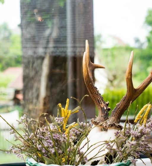 旅馆 Gasthaus Zur Waldschenke