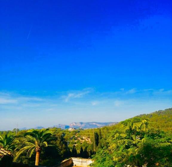 هتل Agroturismo Son Boronat