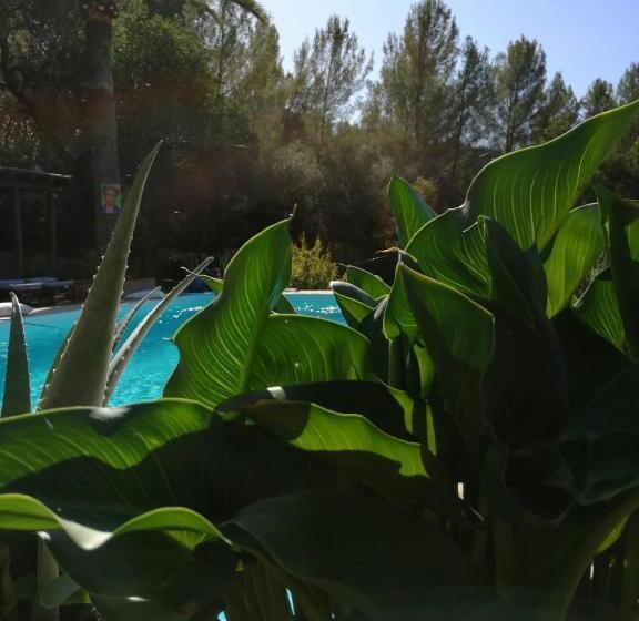 هتل Agroturismo Son Boronat