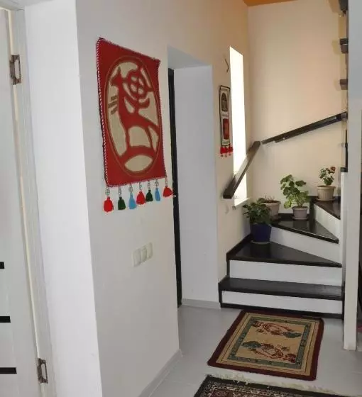 پانسیون Guest House Nur