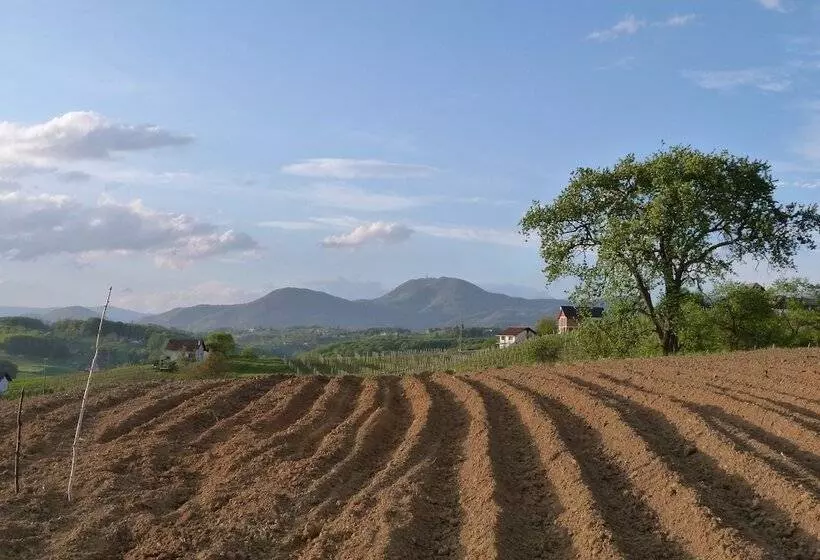 پانسیون Guest House Eco Vila Mila