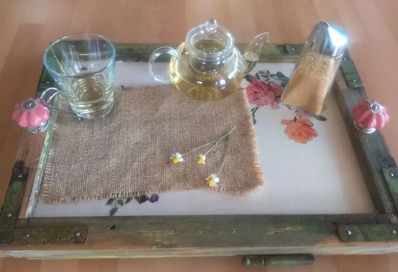 پانسیون Guest House Eco Vila Mila