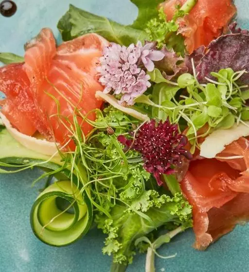 Majatalo Casa De Huéspedes Bodega Gimenez Riili