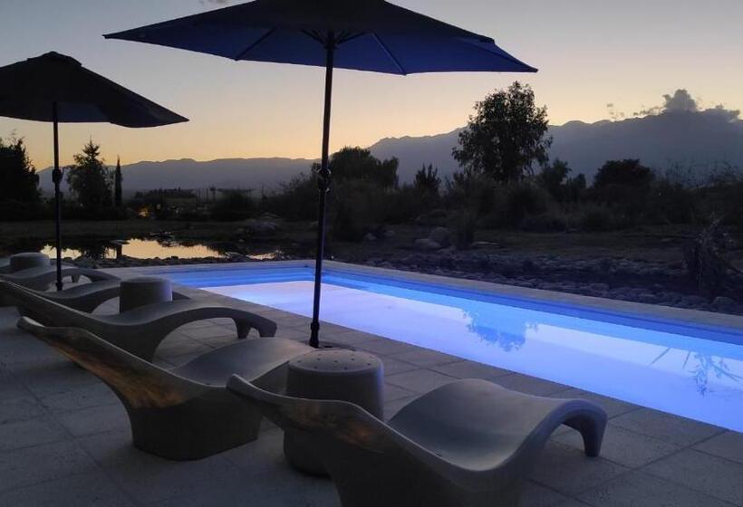 Pension Casa De Huéspedes Bodega Gimenez Riili