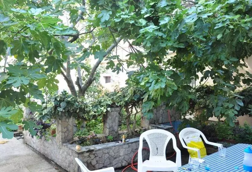 پانسیون Guest House Mirza