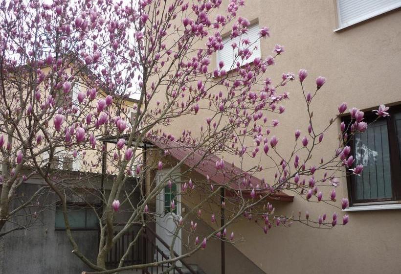 پانسیون Guest House Ok